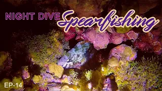 Night Dive Spearfishing in a PARADISE ISLAND [ep14] MARSHALL ISLANDS