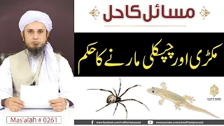 Makri Aur Chipkali Marne Ka Hukm | Solve Your Problems | Ask Mufti Tariq Masood