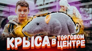 Бешеная крыса в ТЦ / Бросается под ноги / Пранк Вджобыватели