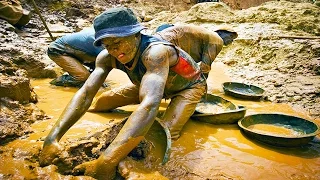 How gold is harvested in Africa. Tsetse flies' bite