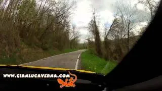 HD CameraCar - GoPro - 2° Rally Race Voghera VERNA - FLOREAN Peugeot 207 Super 2000