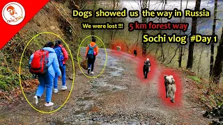 Sochi 😍 Must visit in Russia ???  -  Travel vlog & guide  #Day 1