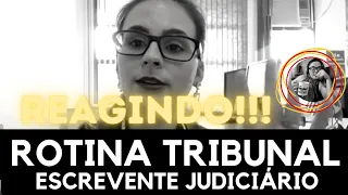 ROTINA DE LUMINHA NO TRIBUNAL DE JUSTIÇA DE SÃO PAULO #concursos2023 #semchuteconcursospublicos