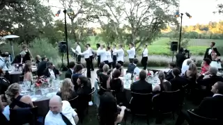 Kristofor and Catherine's Wedding Flash Mob