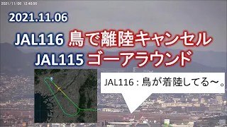 2021.11.06 JAL116 鳥で離陸をキャンセル。後続のJAL115 ゴーアラウンド｜大阪空港ライブカメラ裏