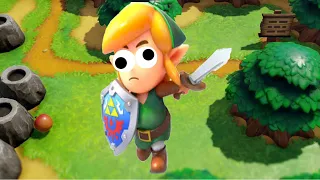 Link's Stupid Awakening