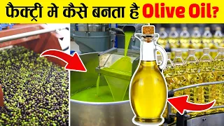 कैसे बनाया जाता है जैतून का तेल ? Olive Oil Factory Production