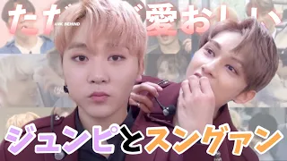 ただただ愛おしいジュンピとスングァン[SEVENTEEN]