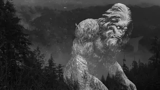 MONSTER of the WOODS Sasquatch Expedition Contest 2019