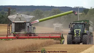 Claas - Case - Fendt - Hawe / Getreideernte - Grain Harvest  TB