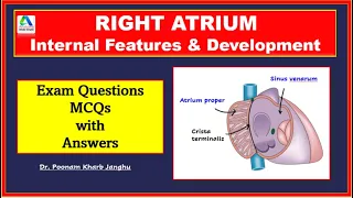 Right atrium anatomy | External and internal features of right atrium| [Simplified]