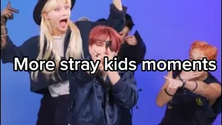 more stray kids moments part idk