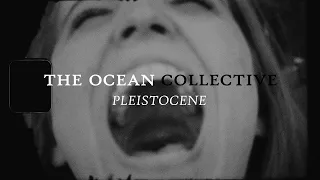 The Ocean - Pleistocene (OFFICIAL VIDEO)