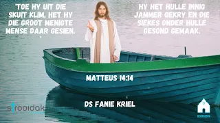 Mat 14:14