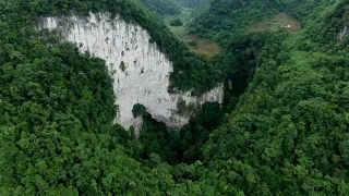 Study on vegetation at newly found karst sinkhole in Guangxi complete