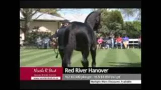 Red River Hanover 2009