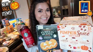 BIG Aldi's Grocery Haul & Vlog! *New FALL Items*