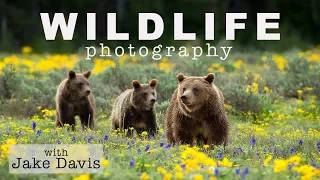 Wildlife Photography Interview with Jake Davis