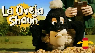 Se busca - La Oveja Shaun - Temporada 5 - Episodio completo [Shaun the Sheep Season 5]