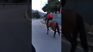 !WARNING!..... Traveler crashes horse on tarmac  🐴 BRUTAL
