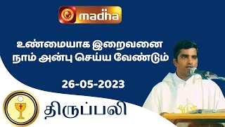 🔴 LIVE 26  MAY 2023 Holy Mass in Tamil 06:00 PM (Evening Mass) | Madha TV