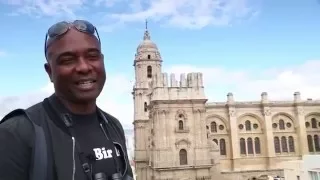 Urban Birding in Málaga