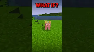 What if mojang added it in game...