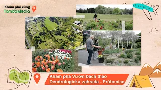 KHÁM PHÁ CÙNG TAMDAMEDIA | Tháng 5.2024 | Khám phá vườn bách thảo Dendrologická zahrada Průhonice