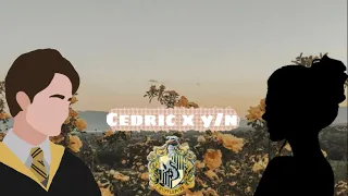 [ y/n x cedric] Love Story