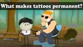 What makes tattoos permanent? | #aumsum #kids #science #education #children