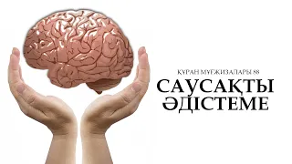 Құран мұғжизалары 88: Саусақты әдістеме ᴴᴰ