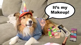 "It's Makeup!" Biscuit is ready for school! 💄🐶💕 a Biscuit Talky on Cricket Chronicles e310