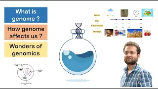 What is Genome and genomics? Structural, comparative and functional genomics. Wonders of genomics