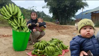 Single Mother Harvests Green Bananas To Sell And Visits Her Ex-Husband  - Single Mom Life