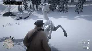 Red Dead Redemption 2: White Arabian Horse Guide. (100% spawn rate!!)