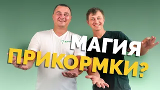 ⚠️ПРИКОРМКА⚠️ Рушим мифы! Что и зачем❓Фидер, ароматика, фракция, цвет, земля, глина❗️ Первый подкаст