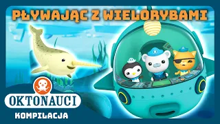 Oktonauci - 🤿 Pływając z wielorybami 🐋  | Światowy Dzień Wieloryba | Kompilacja | Całe odcinki