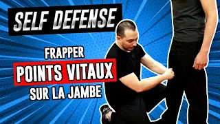 Comment FRAPPER les POINTS VITAUX situés sur la JAMBE [Self défense - Kyusho Jitsu]