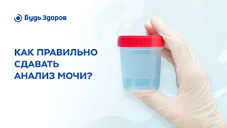 Как собирать мочу на анализ правильно?