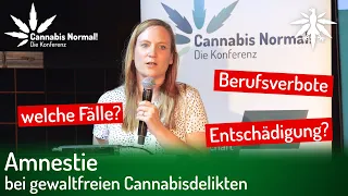 CaNoKo22: Amnestie bei gewaltfreien Cannabisdelikten