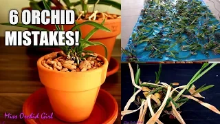 6 Orchid mistakes I wish I never did!
