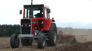 Massey Ferguson 185, 1135 & 1155 | Cultivating The Field | American Ferguson Days - The Gods