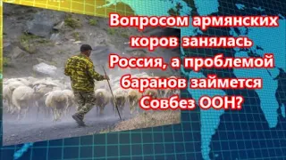 Вопросом армянских коров занялась Россия, а проблемой баранов займется Совбез ООН