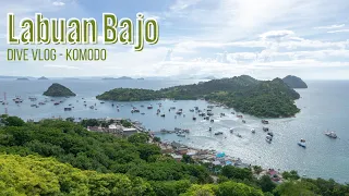 Discovering Labuan Bajo: A Tour of Blue Marlin Dive Center #komodo #scubadiving #bluemarlin