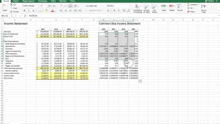 Common Size Income Statement