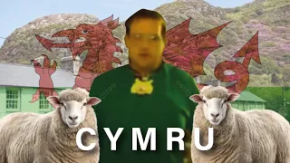 Chris Chan and Bob Fight BUT its in a Remote WELSH VILLAGE