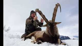 BEZOAR IBEX HUNTING Freddy Brevet&Turkish Frontier Recep Ecer