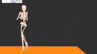 Baseball pitching motion skeletal