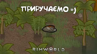 №5. Проходження RimWorld українською мовою. Рім Ворлд.