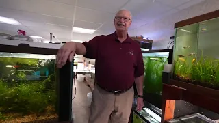 The TOP master fish breeded - fish room tour- The king of DIY